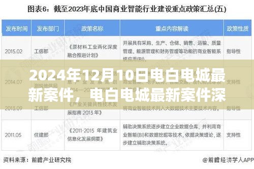 电白电城最新案件深度解析，背景、进展与影响（2024年12月）