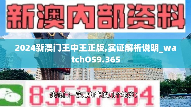 2024新澳门王中王正版,实证解析说明_watchOS9.365