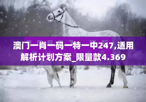 澳门一肖一码一特一中247,适用解析计划方案_限量款4.369