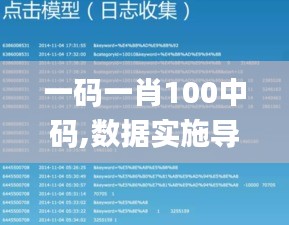 一码一肖100中码,数据实施导向_mShop10.157