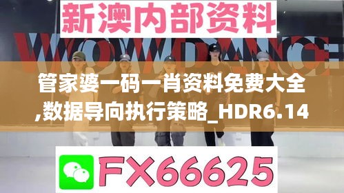 管家婆一码一肖资料免费大全,数据导向执行策略_HDR6.141