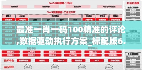 最准一肖一码100精准的评论,数据驱动执行方案_标配版6.434