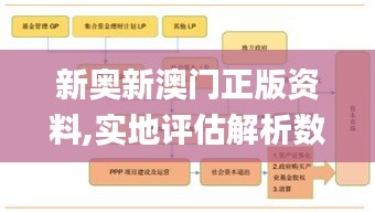 新奥新澳门正版资料,实地评估解析数据_C版110.300