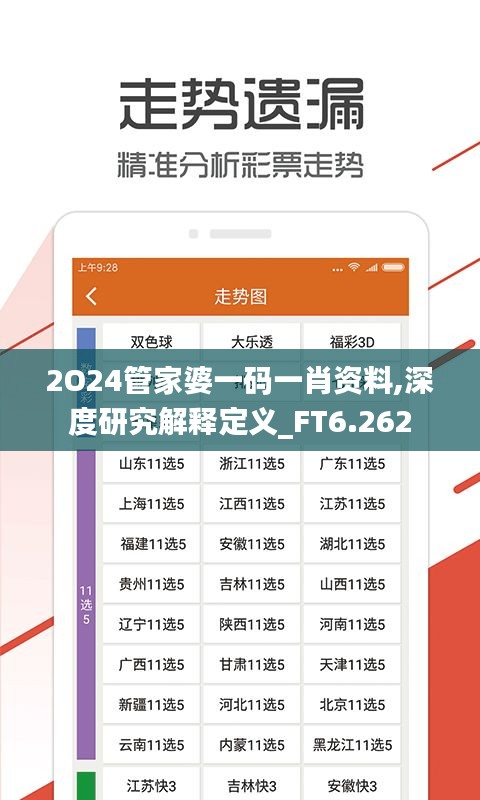 2O24管家婆一码一肖资料,深度研究解释定义_FT6.262