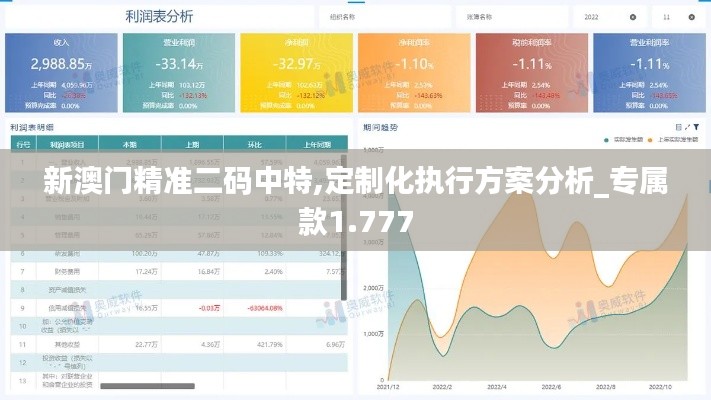 新澳门精准二码中特,定制化执行方案分析_专属款1.777