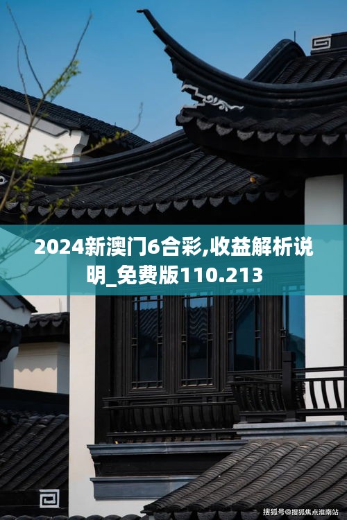 2024新澳门6合彩,收益解析说明_免费版110.213