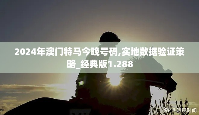 2024年澳门特马今晚号码,实地数据验证策略_经典版1.288