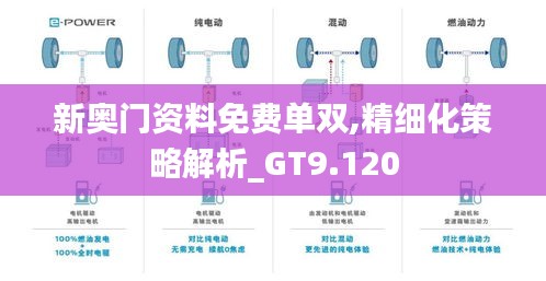 新奥门资料免费单双,精细化策略解析_GT9.120