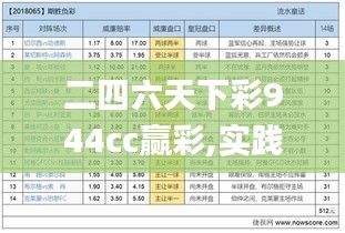 二四六天下彩944cc赢彩,实践评估说明_V2.499