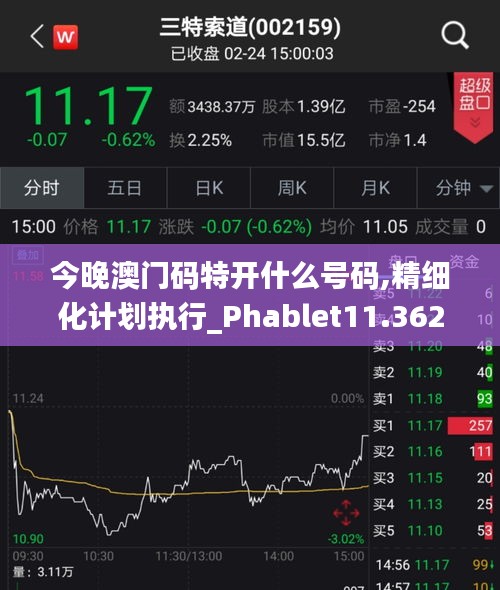 今晚澳门码特开什么号码,精细化计划执行_Phablet11.362