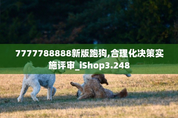 7777788888新版跑狗,合理化决策实施评审_iShop3.248