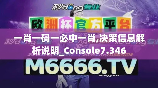 一肖一码一必中一肖,决策信息解析说明_Console7.346