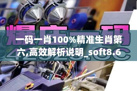 一码一肖100%精准生肖第六,高效解析说明_soft8.602