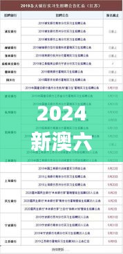 2024新澳六叔最精准资料,适用性计划解读_限量版2.168