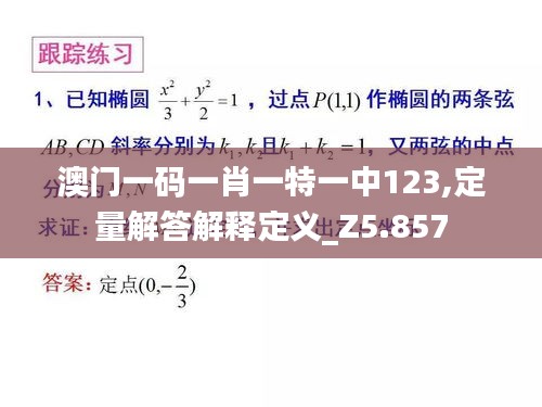 澳门一码一肖一特一中123,定量解答解释定义_Z5.857