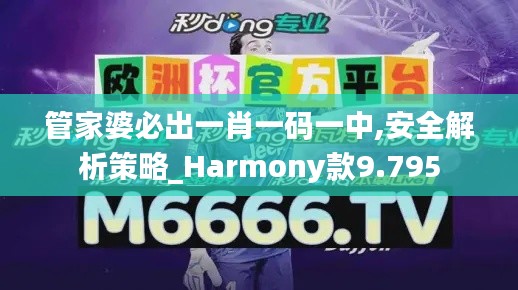 管家婆必出一肖一码一中,安全解析策略_Harmony款9.795