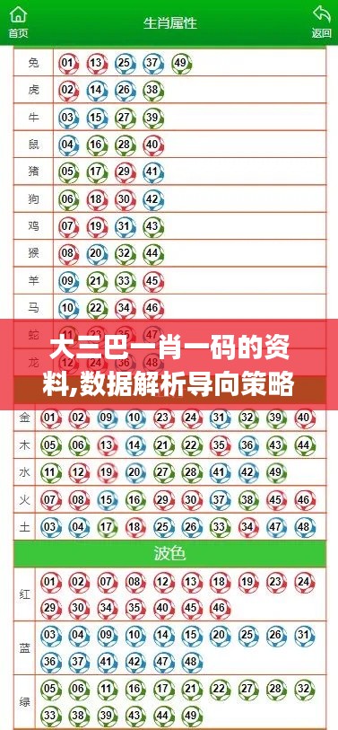 大三巴一肖一码的资料,数据解析导向策略_旗舰版9.626