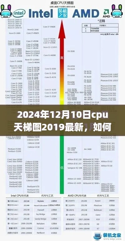 最新CPU天梯图解读与性能预测，2024年CPU性能指南