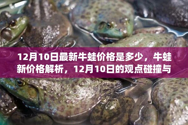 12月10日牛蛙新价格解析，观点碰撞与个人立场