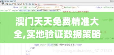 澳门天天免费精准大全,实地验证数据策略_S13.285