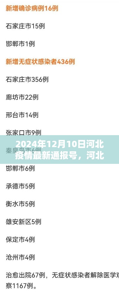 河北疫情最新通报（2024年12月10日），聚焦关键动态更新