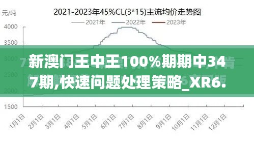 新澳门王中王100%期期中347期,快速问题处理策略_XR6.960