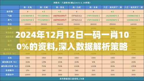 2024年12月12日 第12页