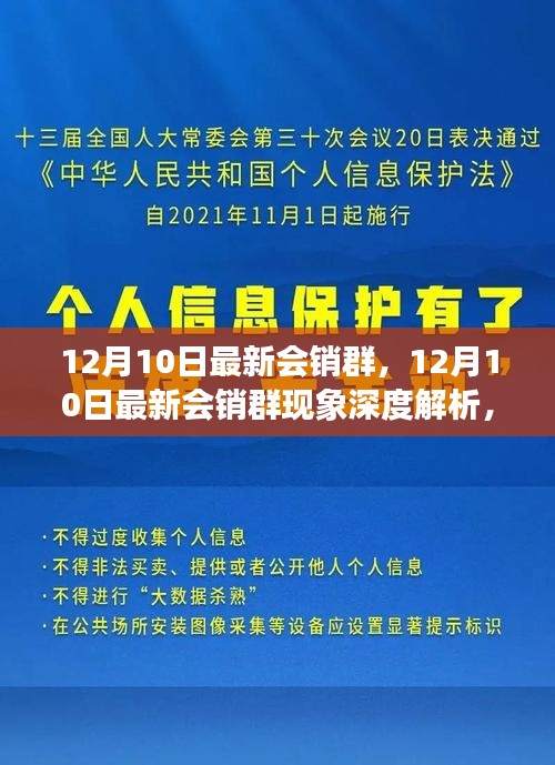 深度解析，12月10日最新会销群现象与群内营销之我见