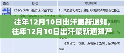 往年12月10日出汗最新通知及全面评测产品揭秘