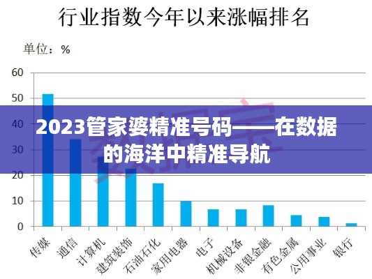 2023管家婆精准号码——在数据的海洋中精准导航