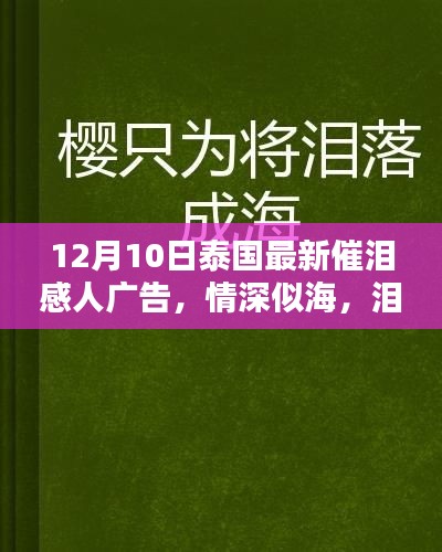 泰国最新催泪感人广告深度解析，情深似海，泪洒心扉，感动全球观众！