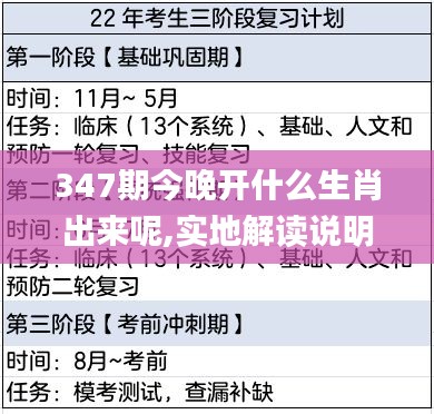 347期今晚开什么生肖出来呢,实地解读说明_创意版110.993