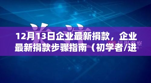 企业最新捐款步骤指南，初学者与进阶用户的实用指南（12月13日更新）