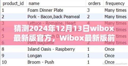 Wibox最新版前瞻，未来科技引领生活新纪元（2024年12月13日官方版猜测）