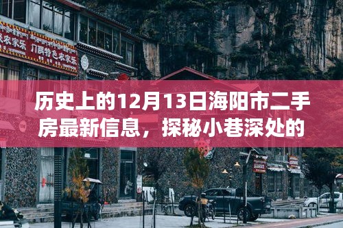 海阳市二手房市场揭秘，最新动态与小巷深处的宝藏——12月13日特辑