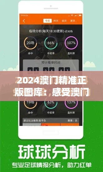 2024澳门精准正版图库：感受澳门的独特韵味与风情