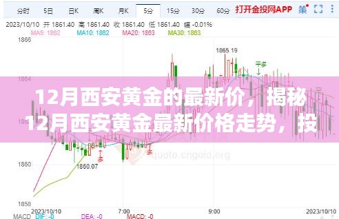 揭秘西安黄金最新行情，12月价格走势与投资收藏指南