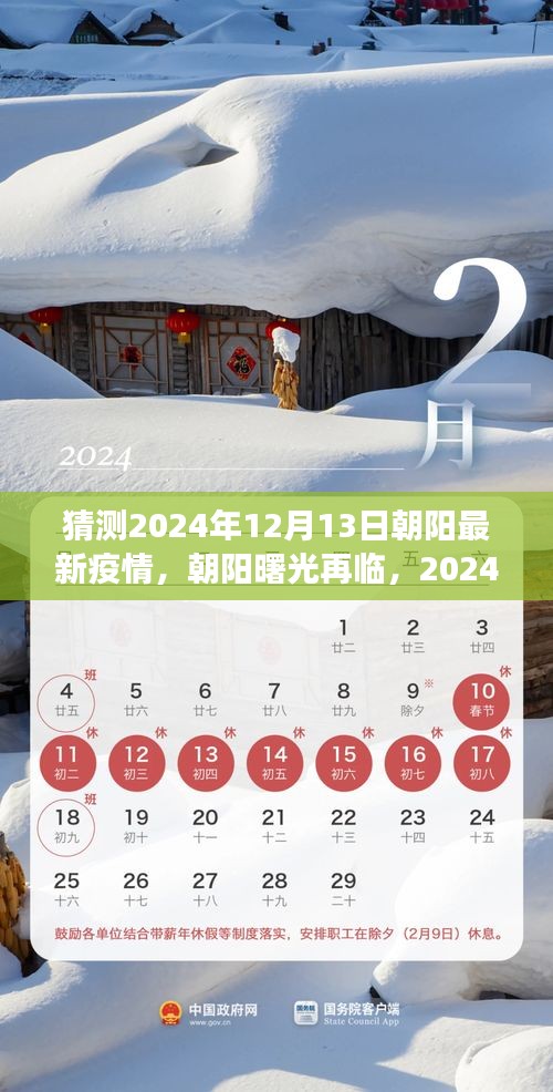 2024年12月13日朝阳最新疫情洞察，曙光再现