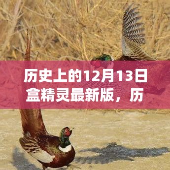 历史上的12月13日盒精灵最新版，自然美景的心灵之旅