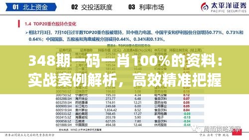 348期一码一肖100%的资料：实战案例解析，高效精准把握财富命脉