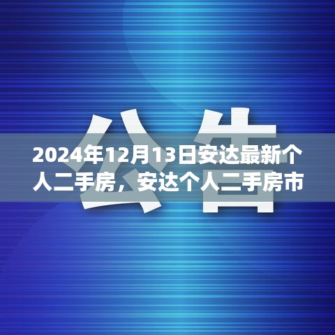 安达个人二手房市场深度观察，回顾与展望（2024年12月13日）