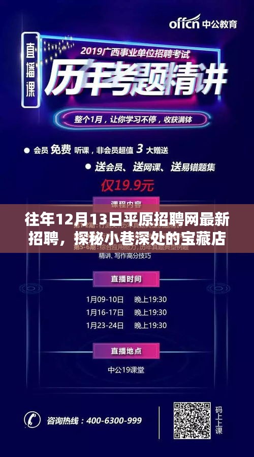 平原招聘网最新招聘探秘，小巷深处的宝藏店与独特小店的奇遇记