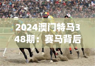 2024澳门特马348期：赛马背后的经济与文化价值