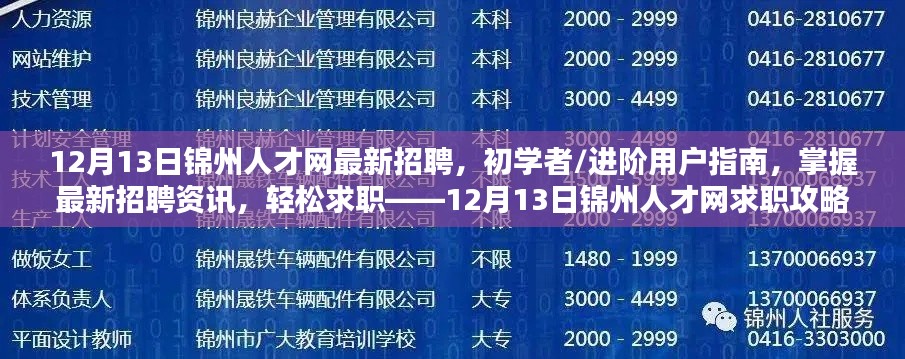 12月13日锦州人才网求职攻略，最新招聘资讯与初学者/进阶用户指南