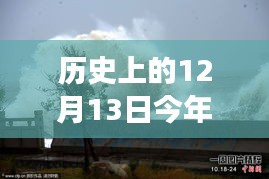 2024年12月14日 第31页