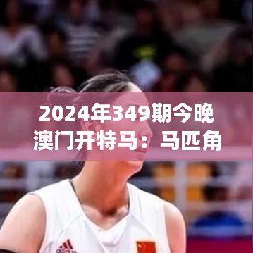 2024年349期今晚澳门开特马：马匹角逐的荣耀时刻