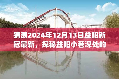 益阳新冠最新动态与小巷独特风味，隐藏在阴霾下的小店故事探索