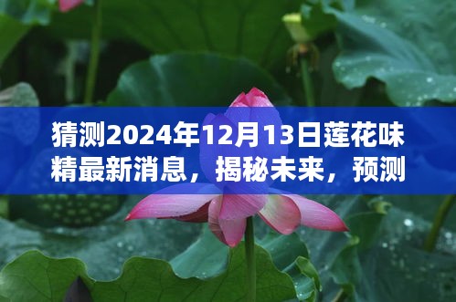 揭秘未来动向，莲花味精最新预测消息与动态，展望2024年12月13日的发展动向