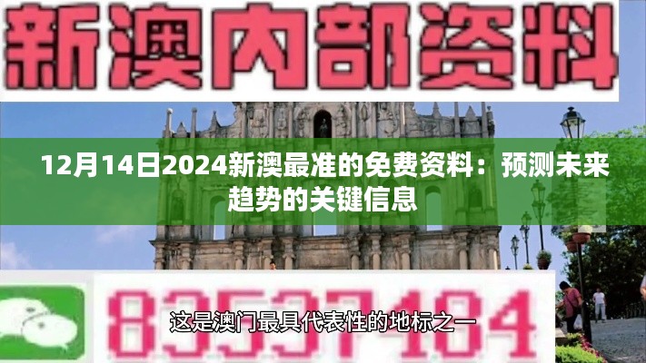 12月14日2024新澳最准的免费资料：预测未来趋势的关键信息