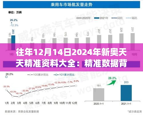 往年12月14日2024年新奥天天精准资料大全：精准数据背后的市场洞察